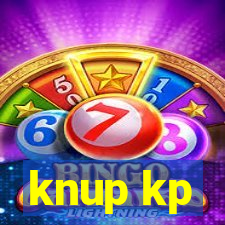 knup kp-t89 driver